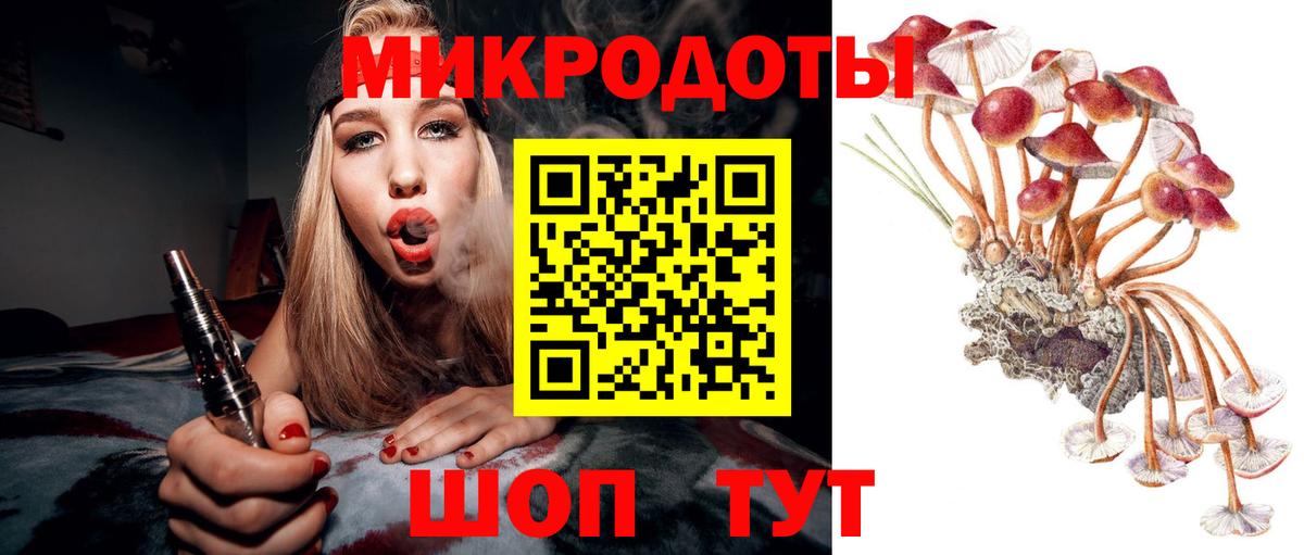 Псилоцибиновые грибы Psilocybine cubensis Лабинск