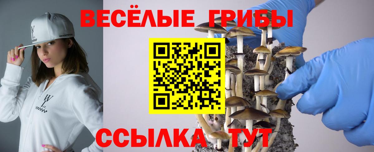 Псилоцибиновые грибы Psilocybine cubensis  Лабинск 